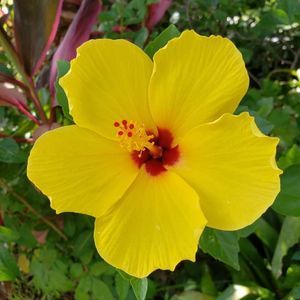 Meet your Posher, Lydia